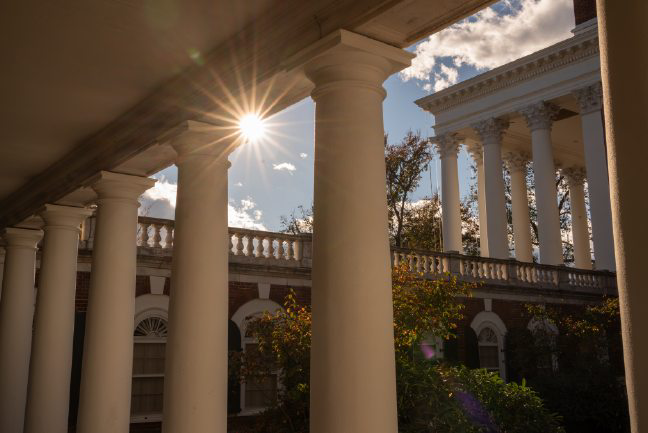 Pillars and sunflare